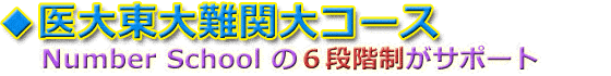 医学部東大難関大コース/NumberSchoolの6段階制がサポート